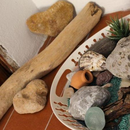 Apartament Minerva'S House Alghero Zewnętrze zdjęcie