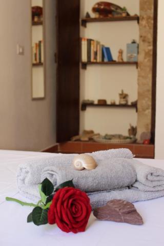 Apartament Minerva'S House Alghero Zewnętrze zdjęcie